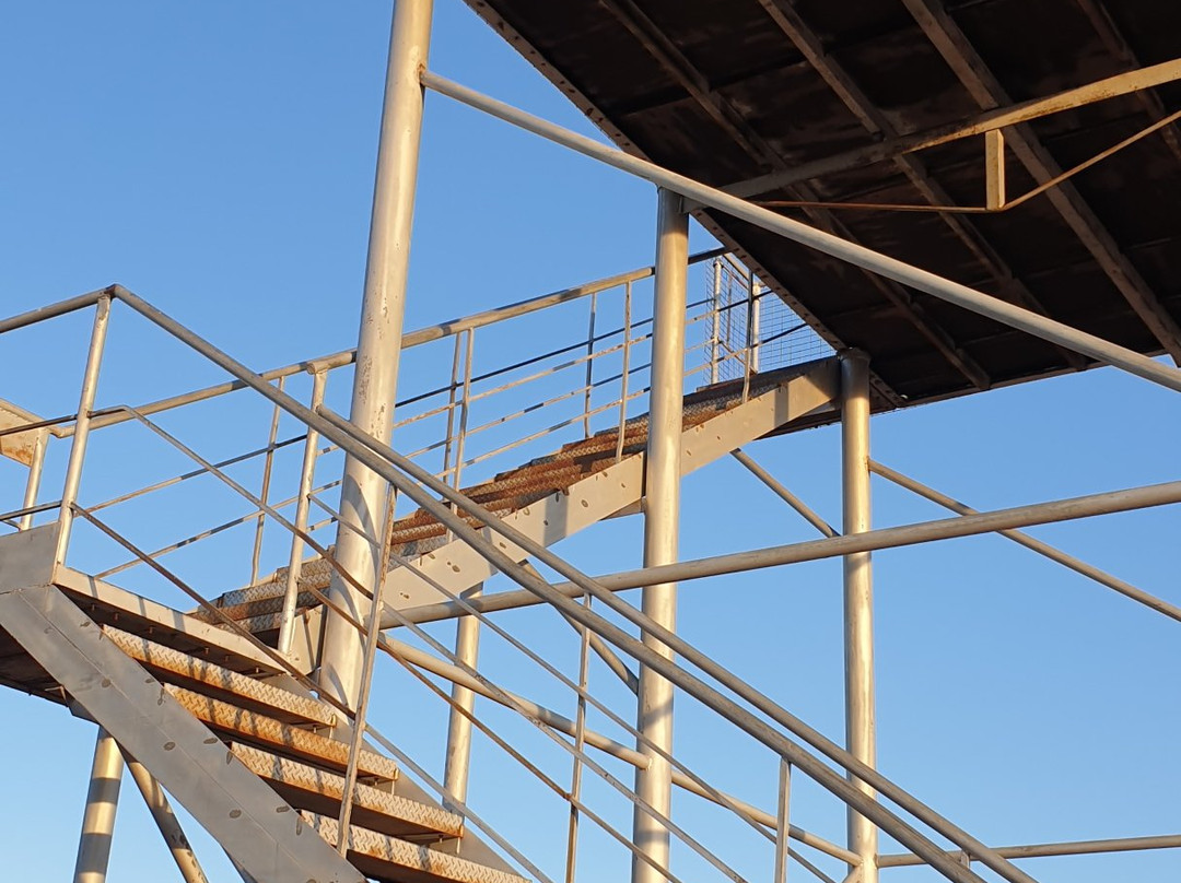 Renmark Rotary Township Lookout Tower-Renmark必去景点