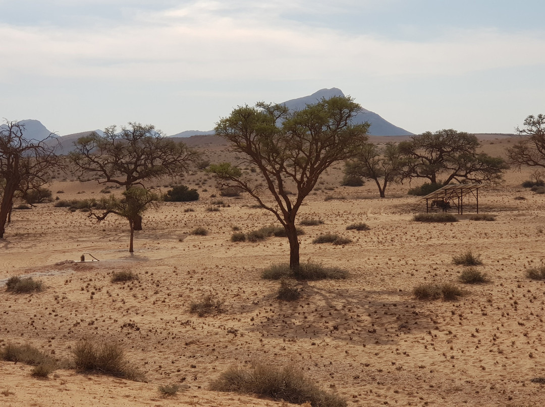 Sossus On Foot Desert Tours-苏丝斯黎必去景点
