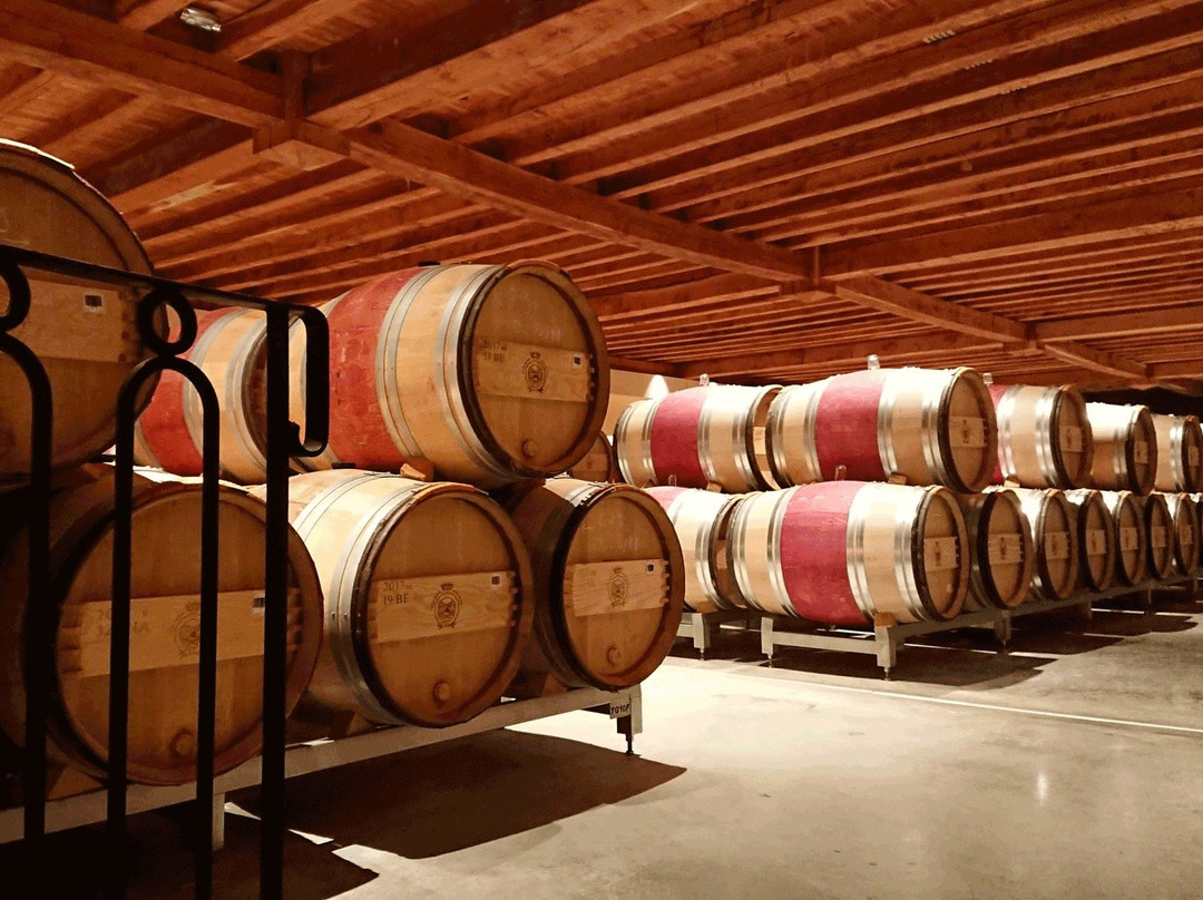 Bacchus Tours-波尔多必去景点