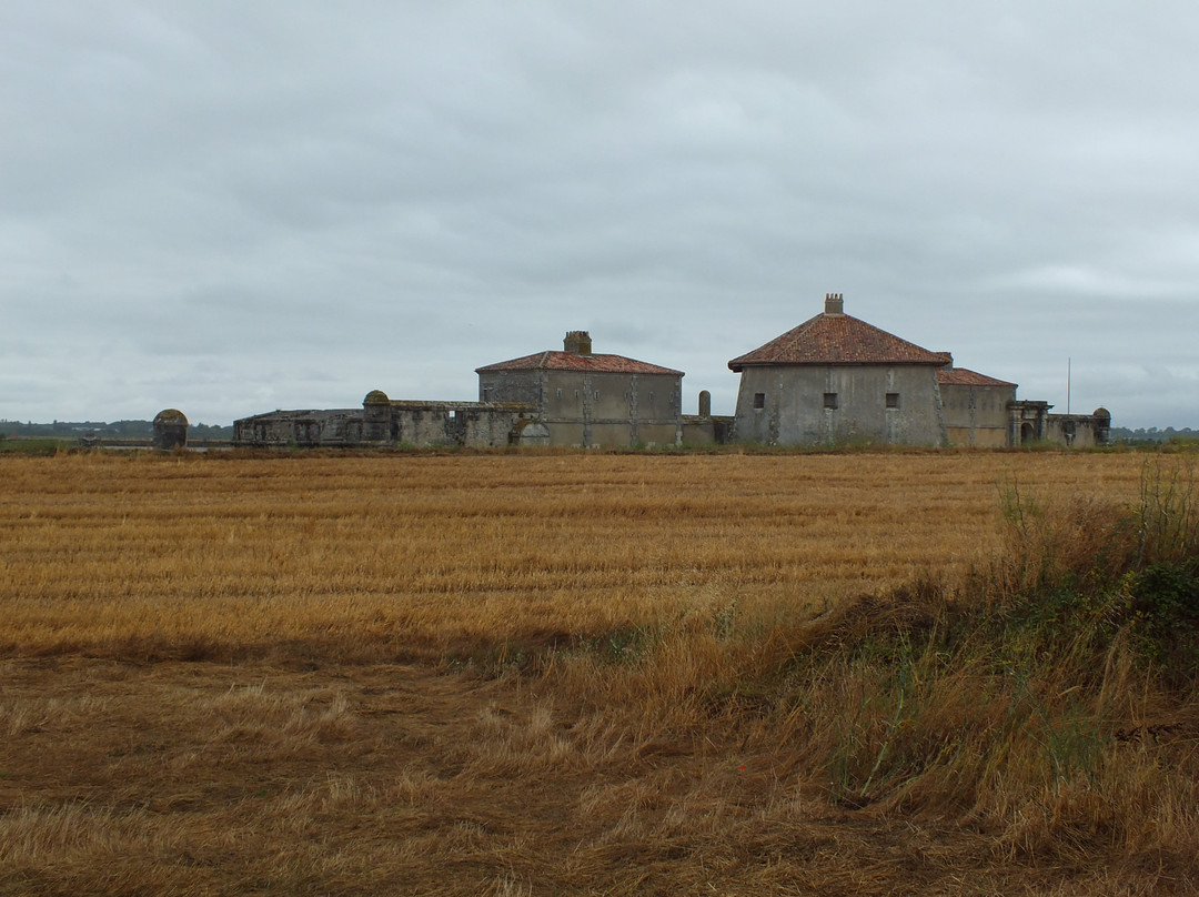 Fort Lupin-Saint Nazaire sur Charente必去景点