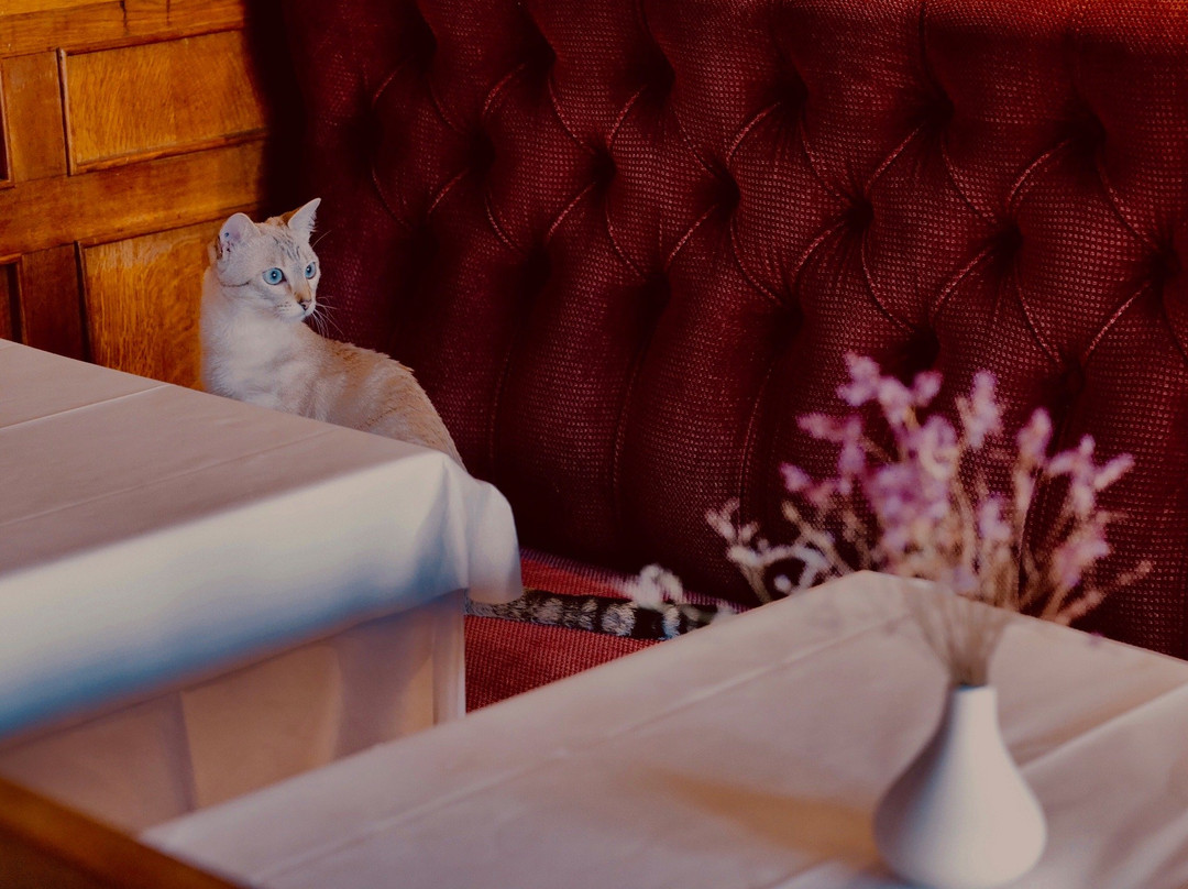 德隆德里斯酒店主图