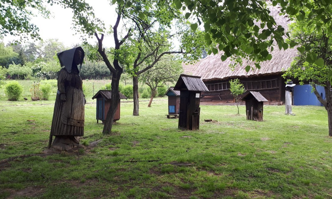 Muzeum Nadwiślański Park Etnograficzny景点图片