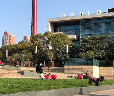 江湾体育中心-上海市必去景点