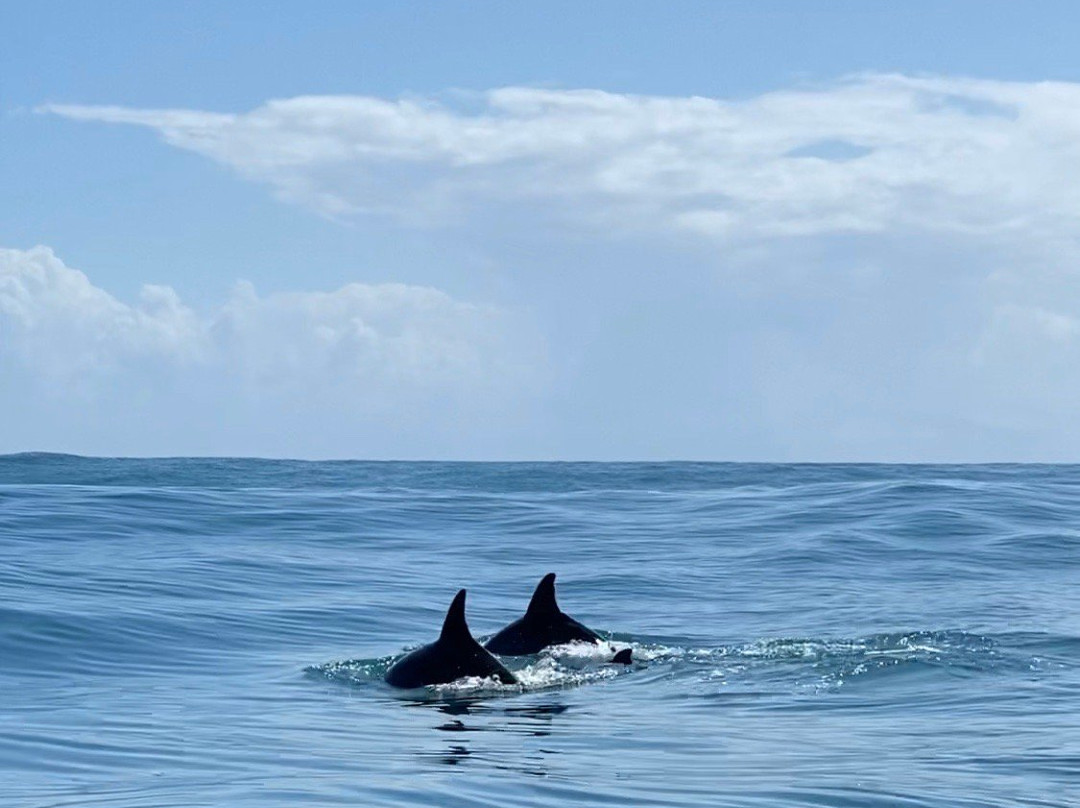 ATEC-旧港必去景点