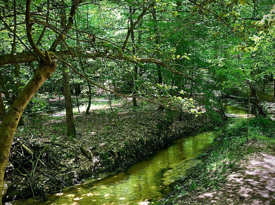 Wahrani Nature Park-New Kent必去景点
