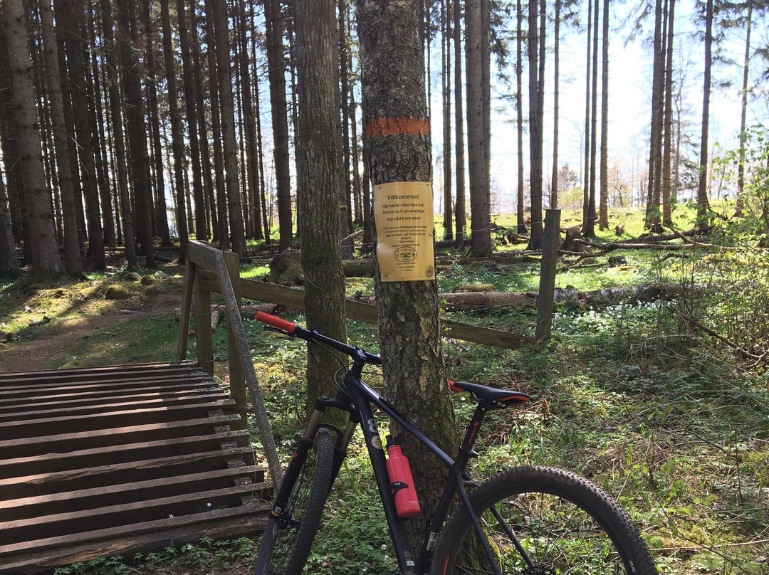 Woods & Water of Sweden-Vadstena必去景点