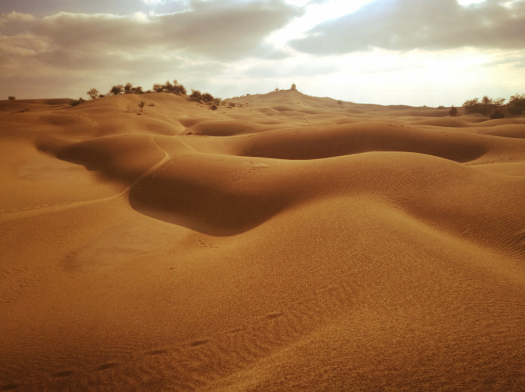 Jaisalmer Camel Safari Day tour景点图片