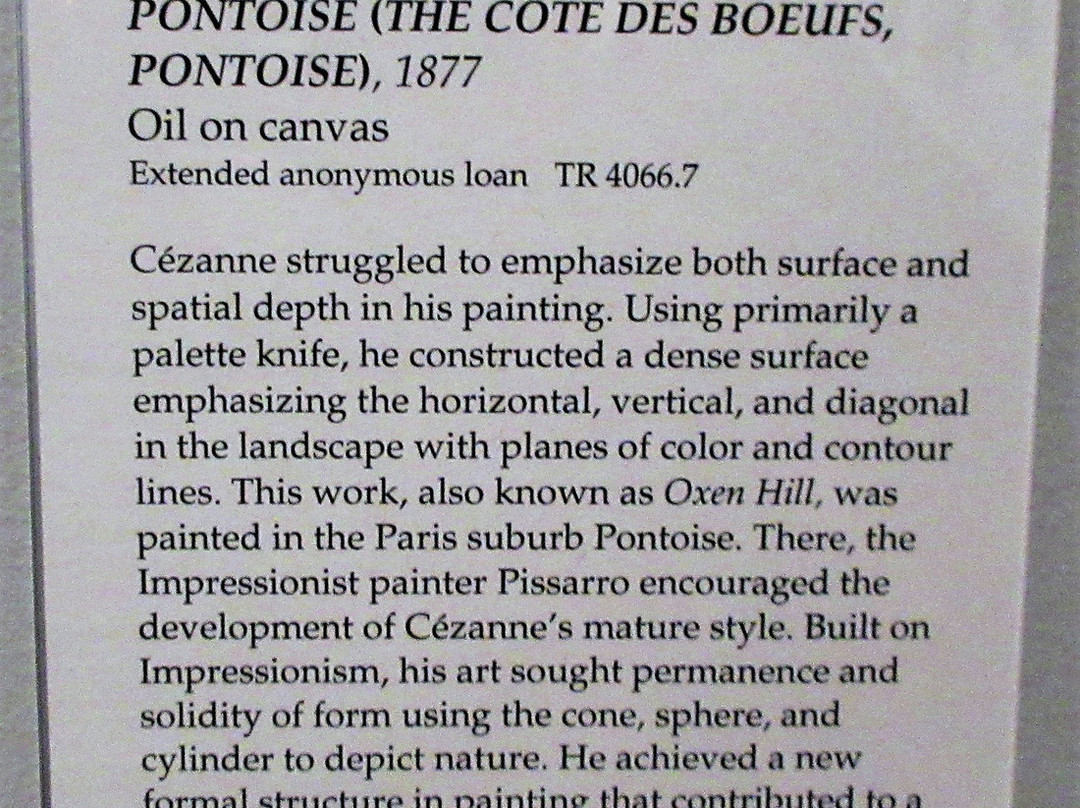 Museum of Fine Arts-圣彼德斯堡必去景点