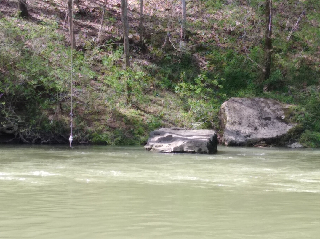 Buffalo Buds-Linden必去景点