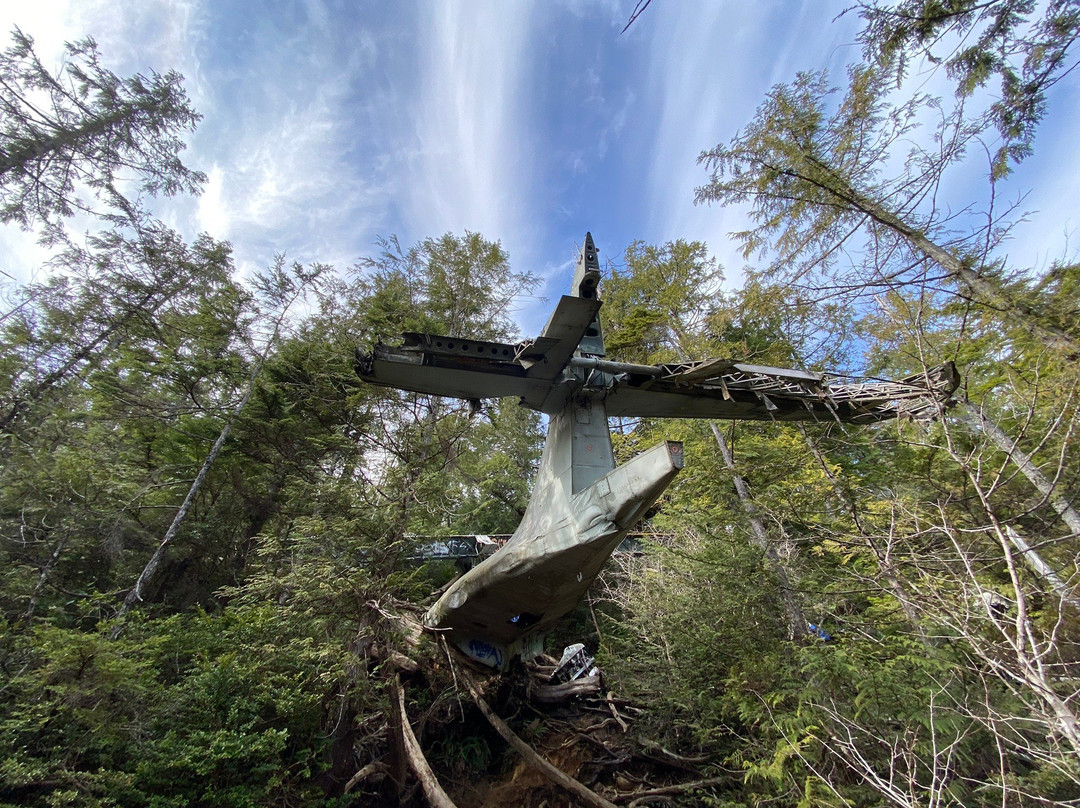 Canso Plane Crash Hike景点图片