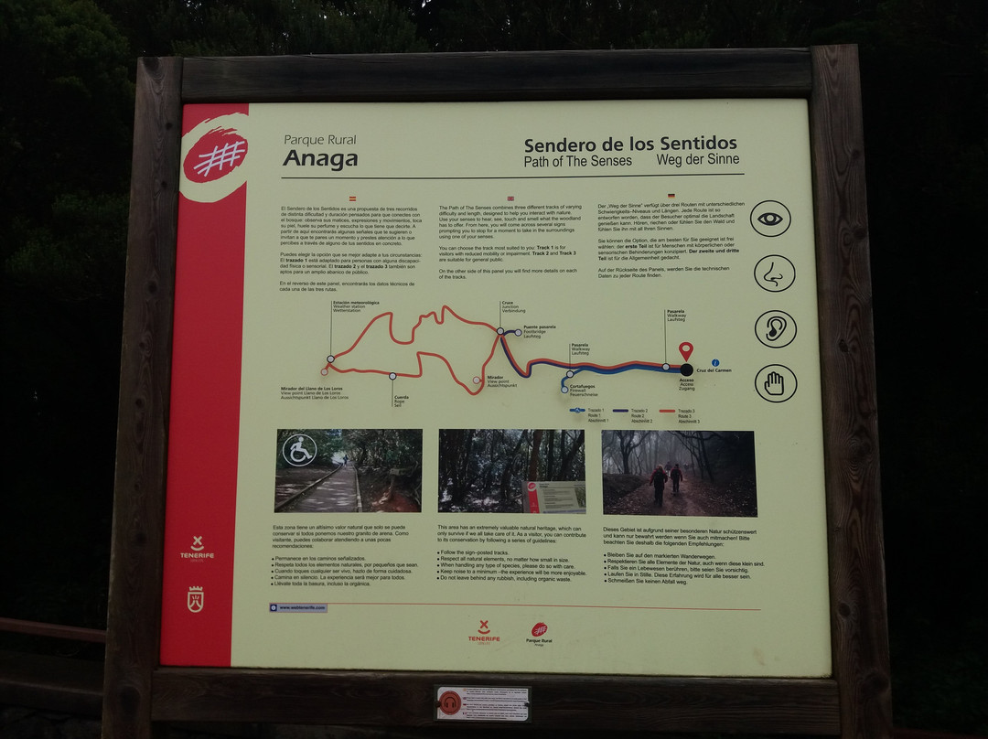 Sendero El Bosque Encantado景点图片