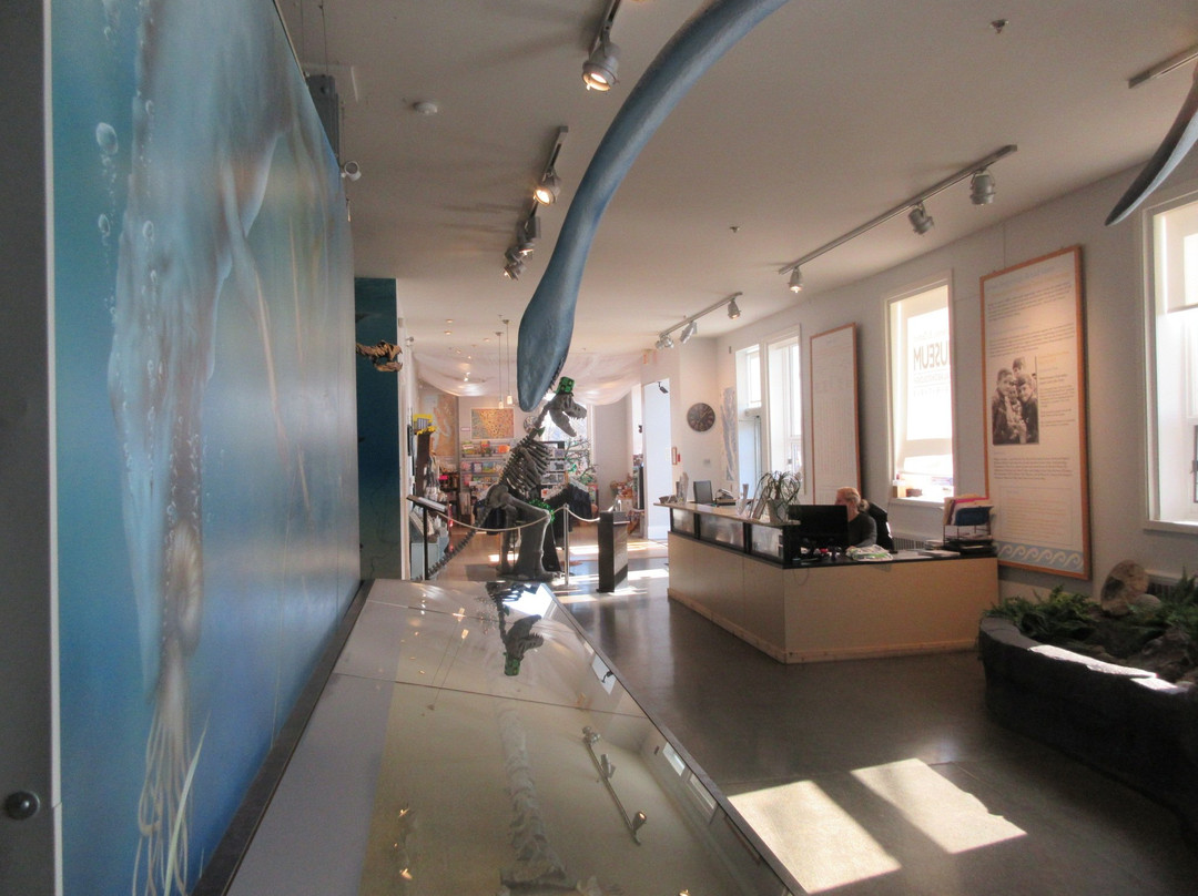Courtenay & District Museum & Paleontology Centre景点图片