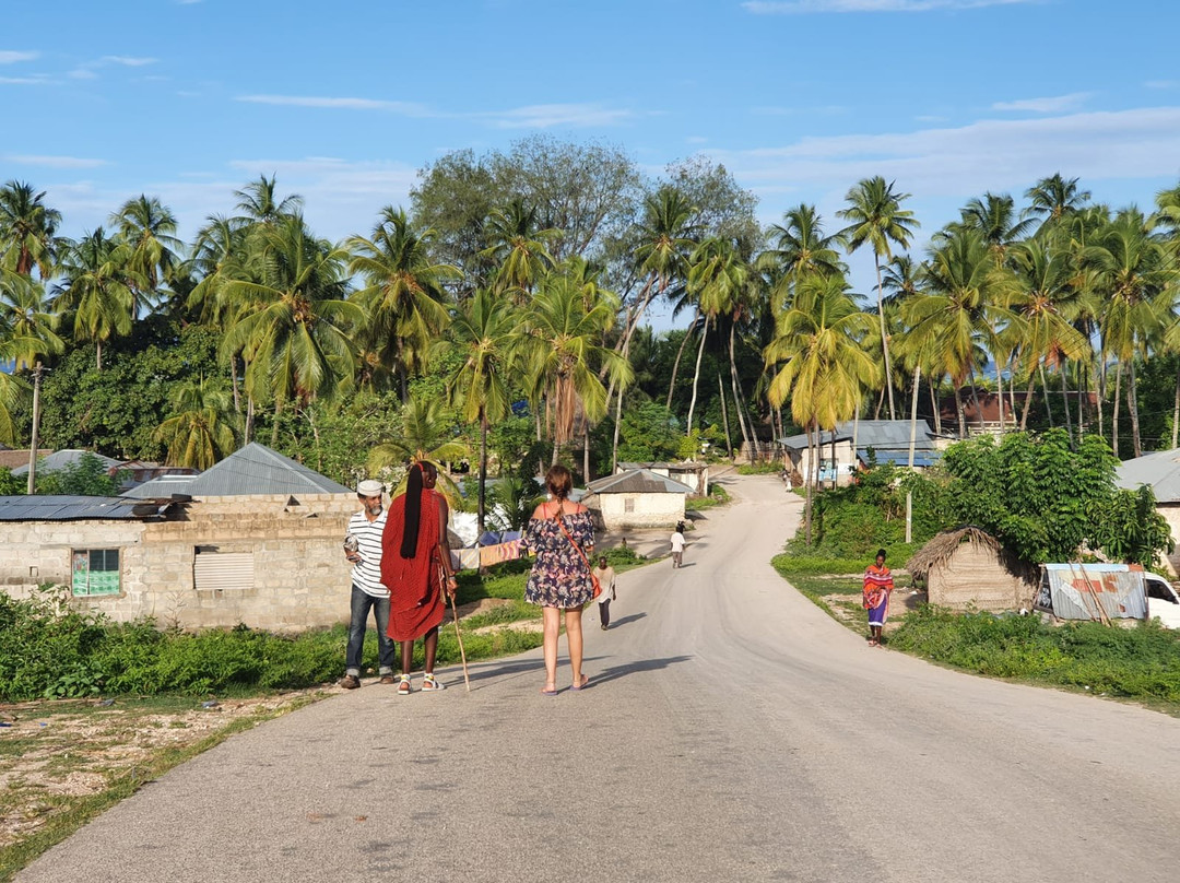 Villa Vanilla Zanzibar香草别墅桑给巴尔主图