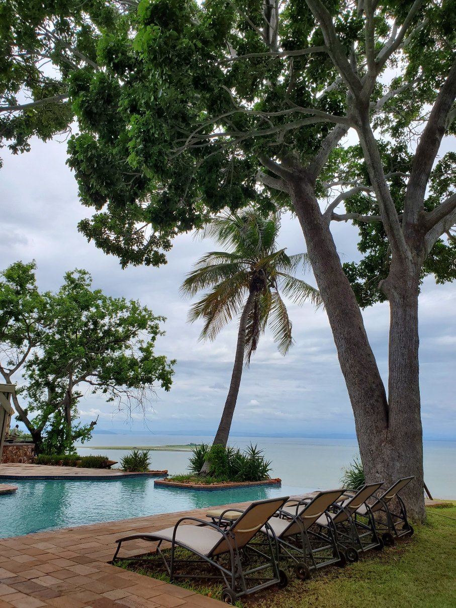 Bumi Hills Safari Lodge - African Bush Camps-泳池