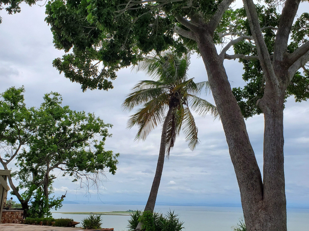 Bumi Hills Safari Lodge - African Bush Camps主图