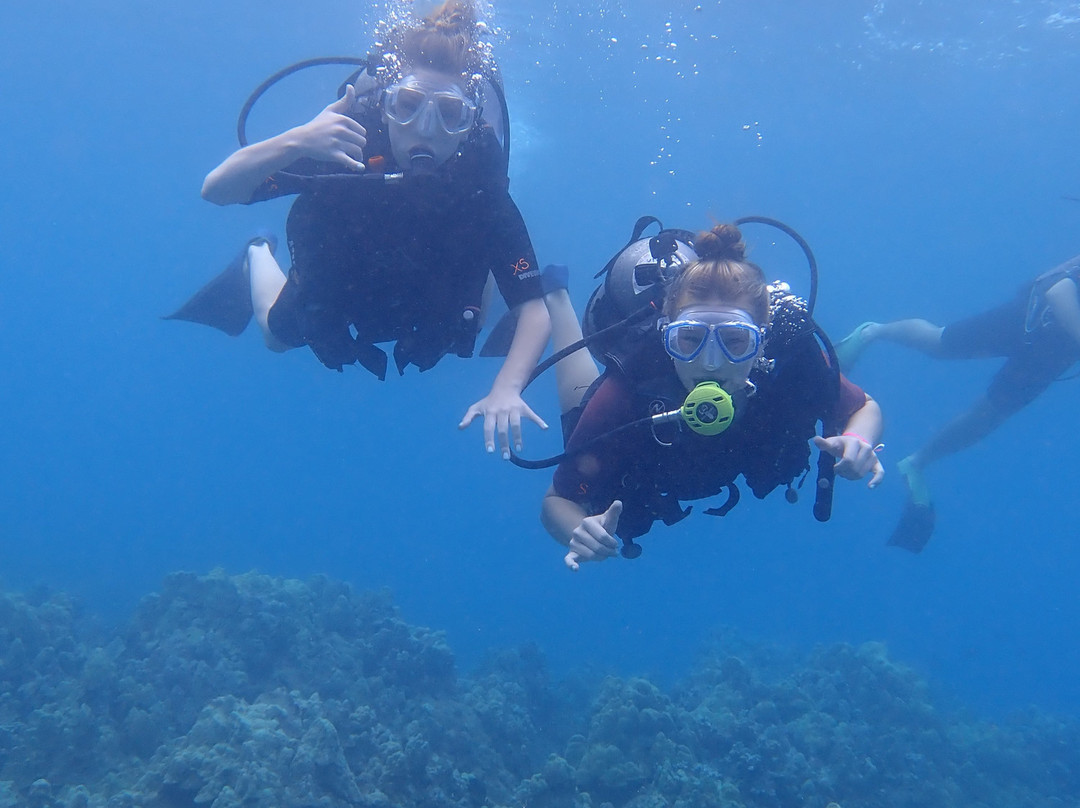 Island Scuba and Surf School-拉海纳必去景点
