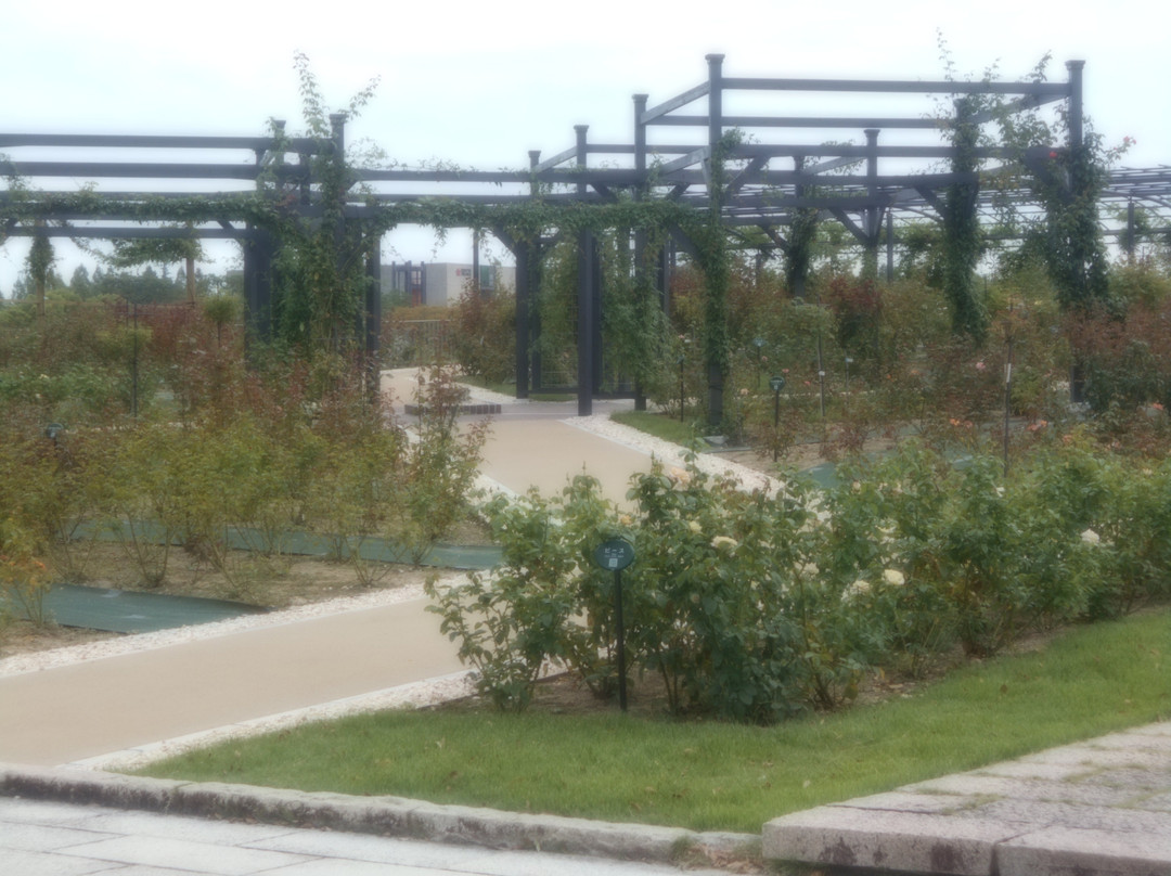 Rose Garden