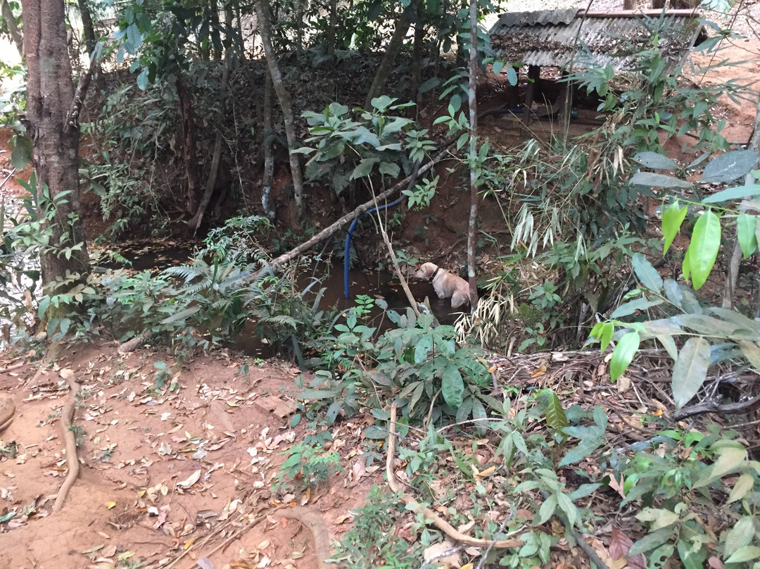 Cachoeira Ecológica-Palmas必去景点