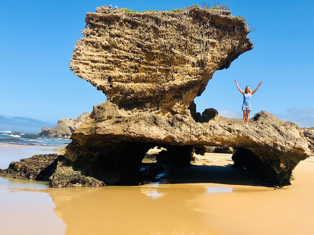 The House Quarters主图