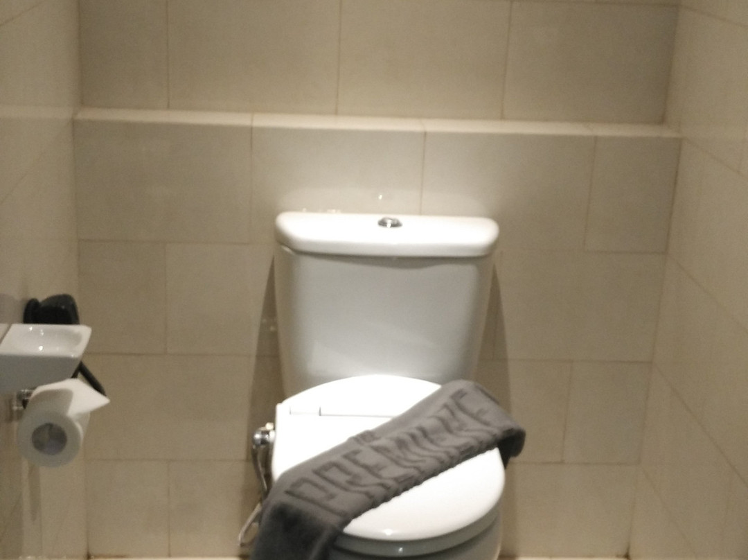 The Premiere Pekanbaru主图