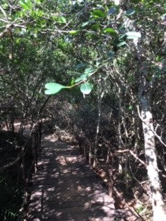 Cloud Nine Lanka Resort Wilpattu主图