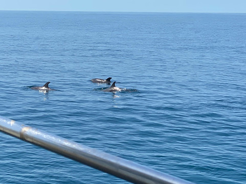 Sea Love Charters-Saint Augustine Beach必去景点
