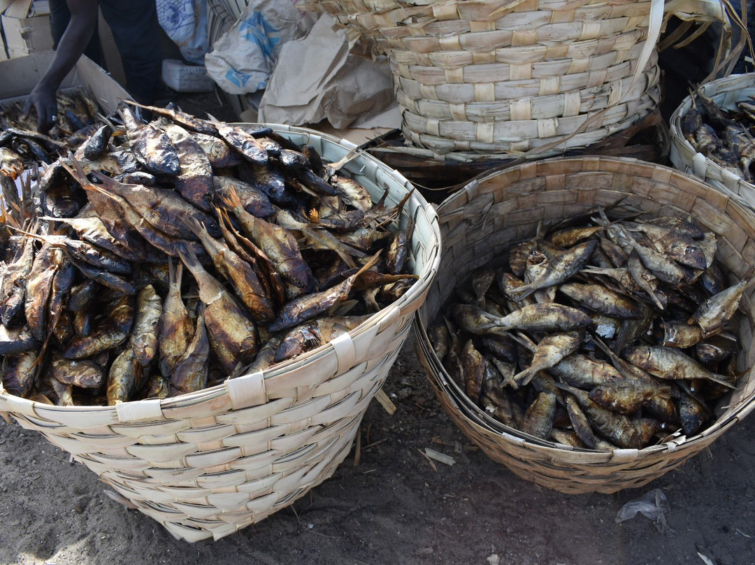 Bakau Fish Market景点图片