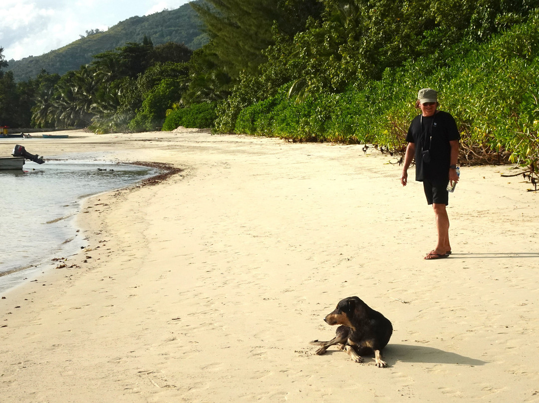 棕榈滩酒店主图