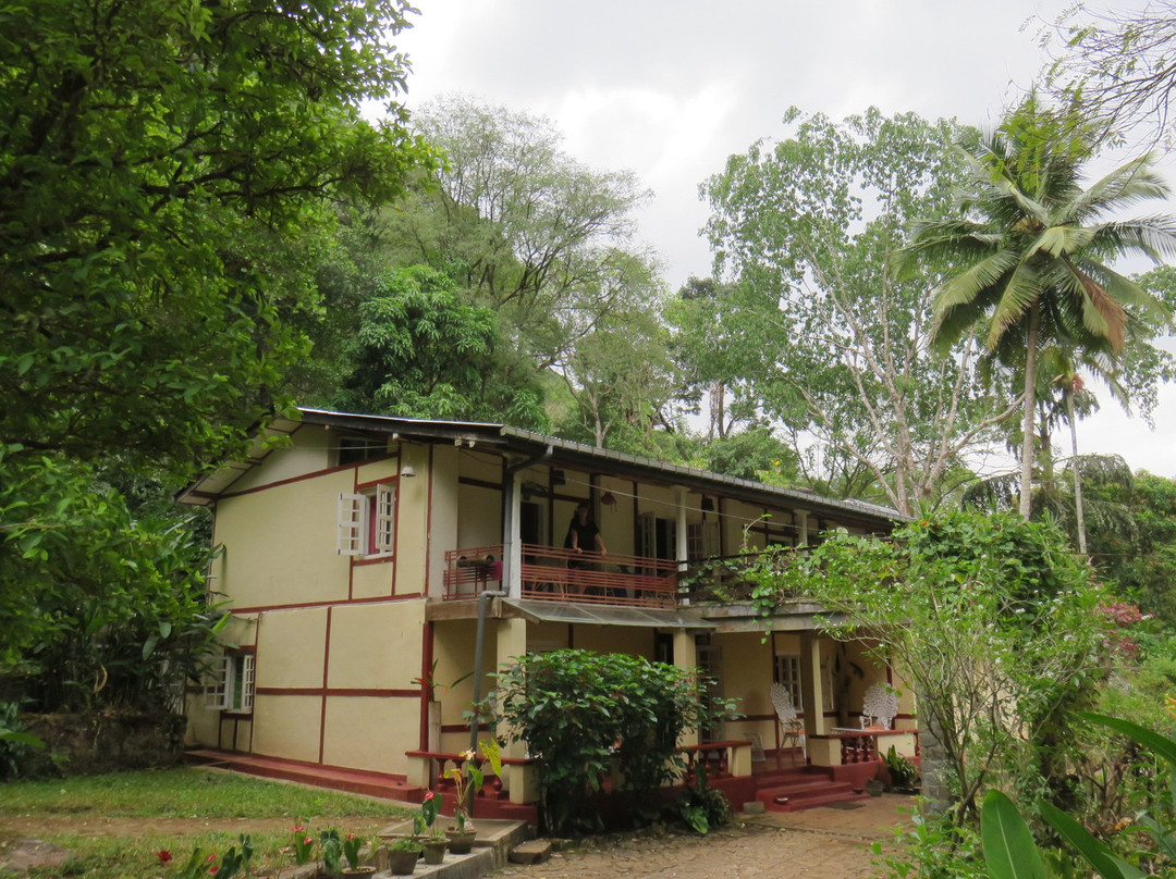 Ecolanka - Maussawa Estate主图