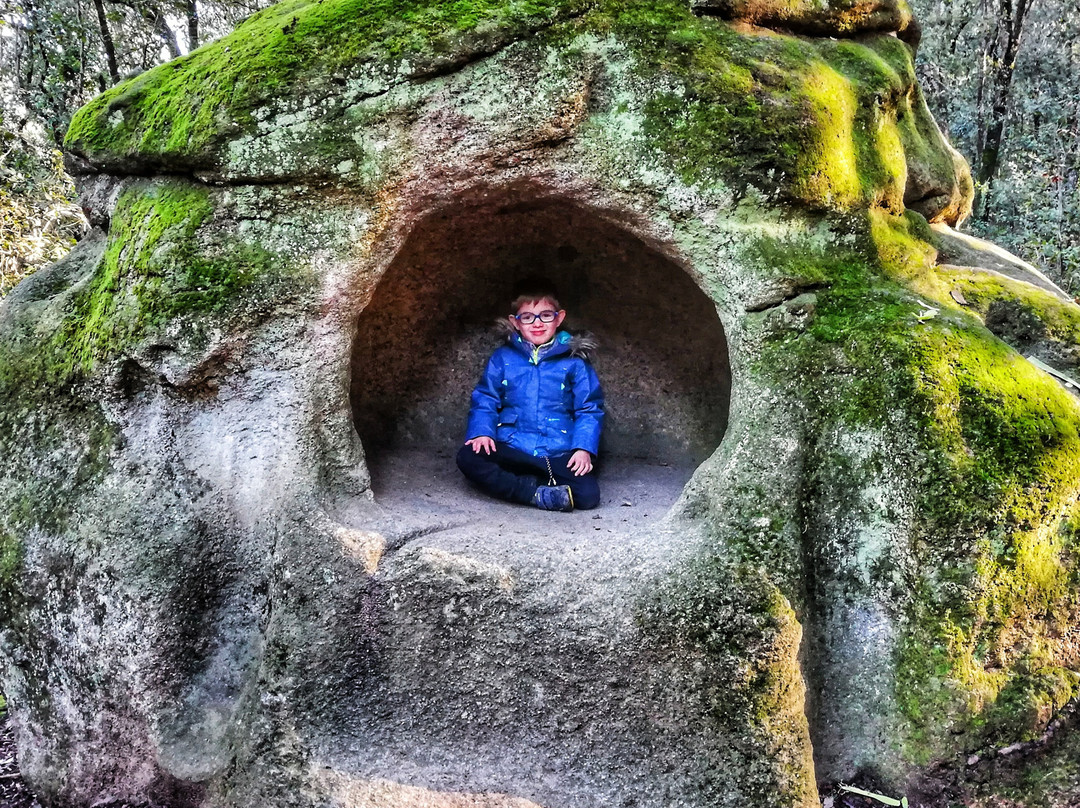 Dolmen Pedra Gentil景点图片