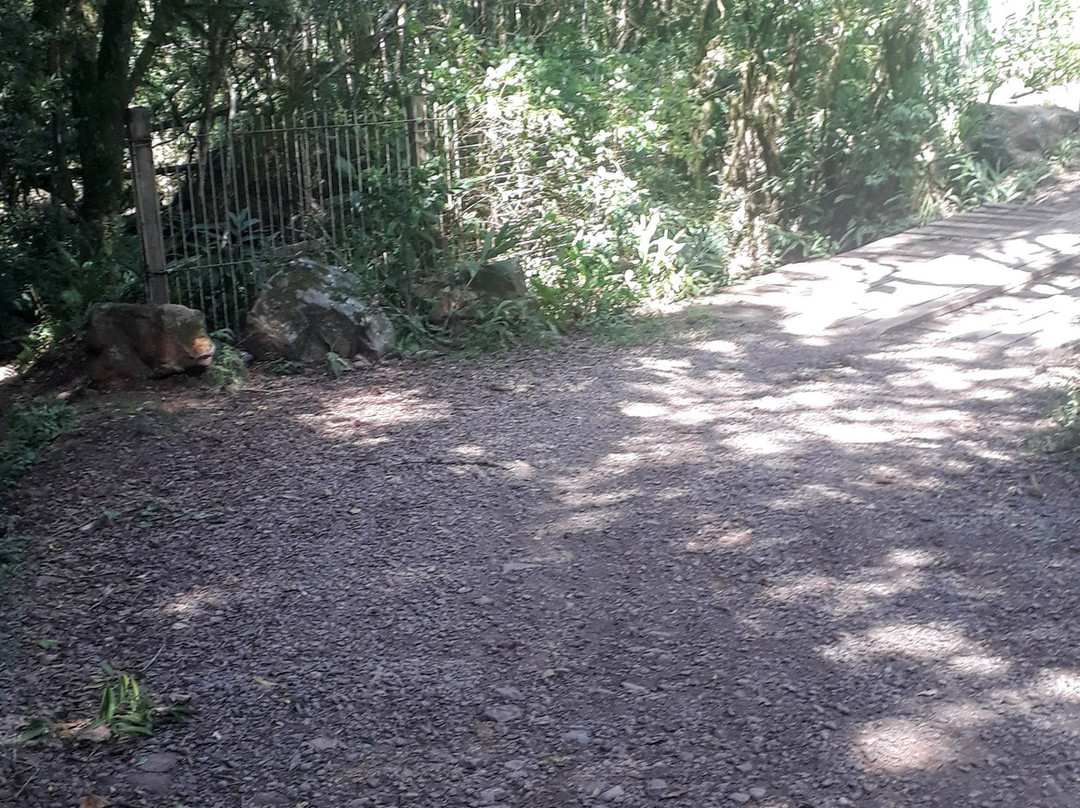 Panelão de São Roque-Nova Petropolis必去景点