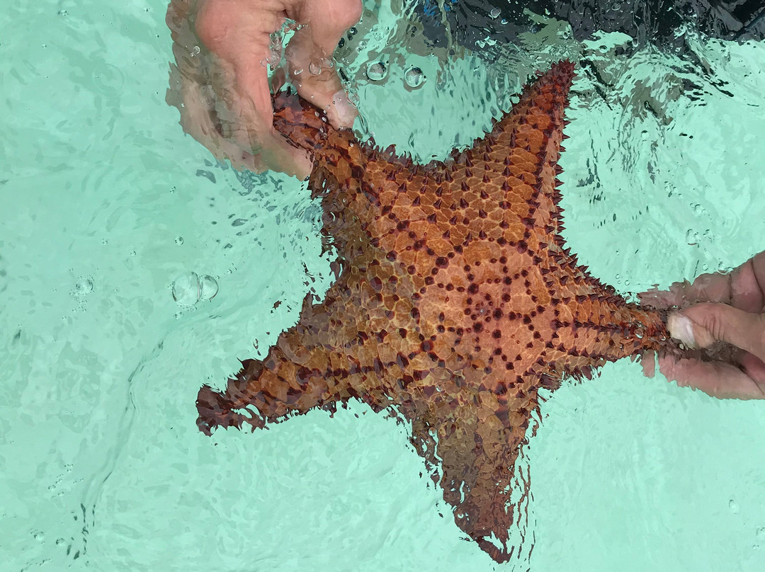 Long Cay-South Caicos必去景点