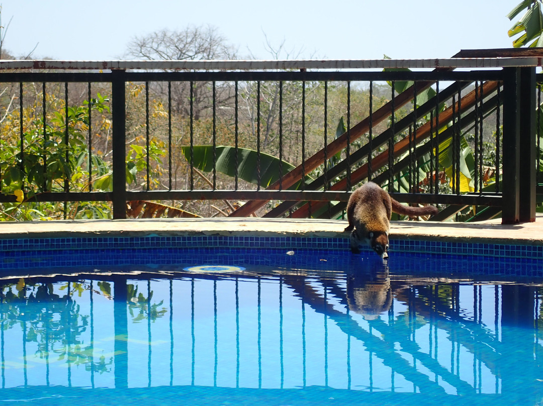 Villa Mango B&B主图