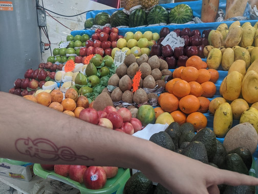 Traveling Spoon-墨西哥城必去景点