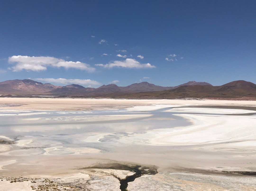 Laguna de Piedras景点图片