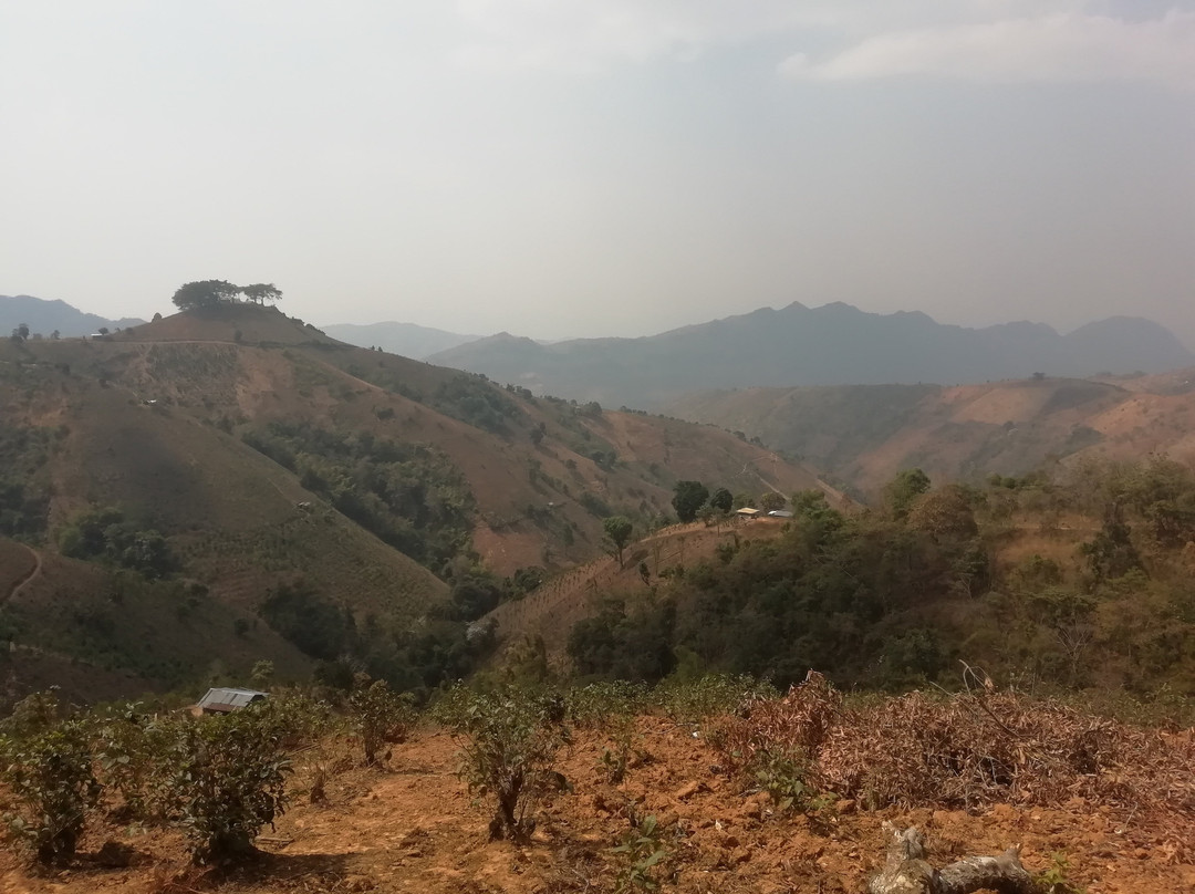 Yola Trekking景点图片