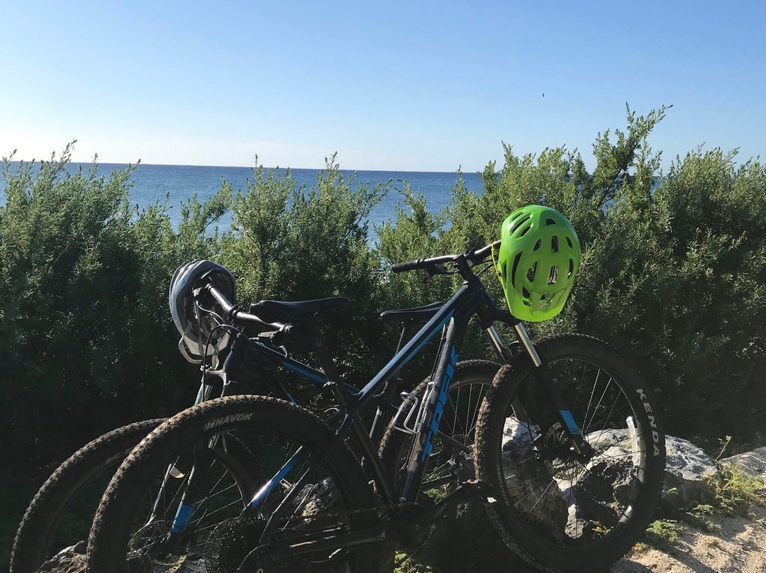 Punta Venado Bike Park-普拉亚德尔卡曼必去景点