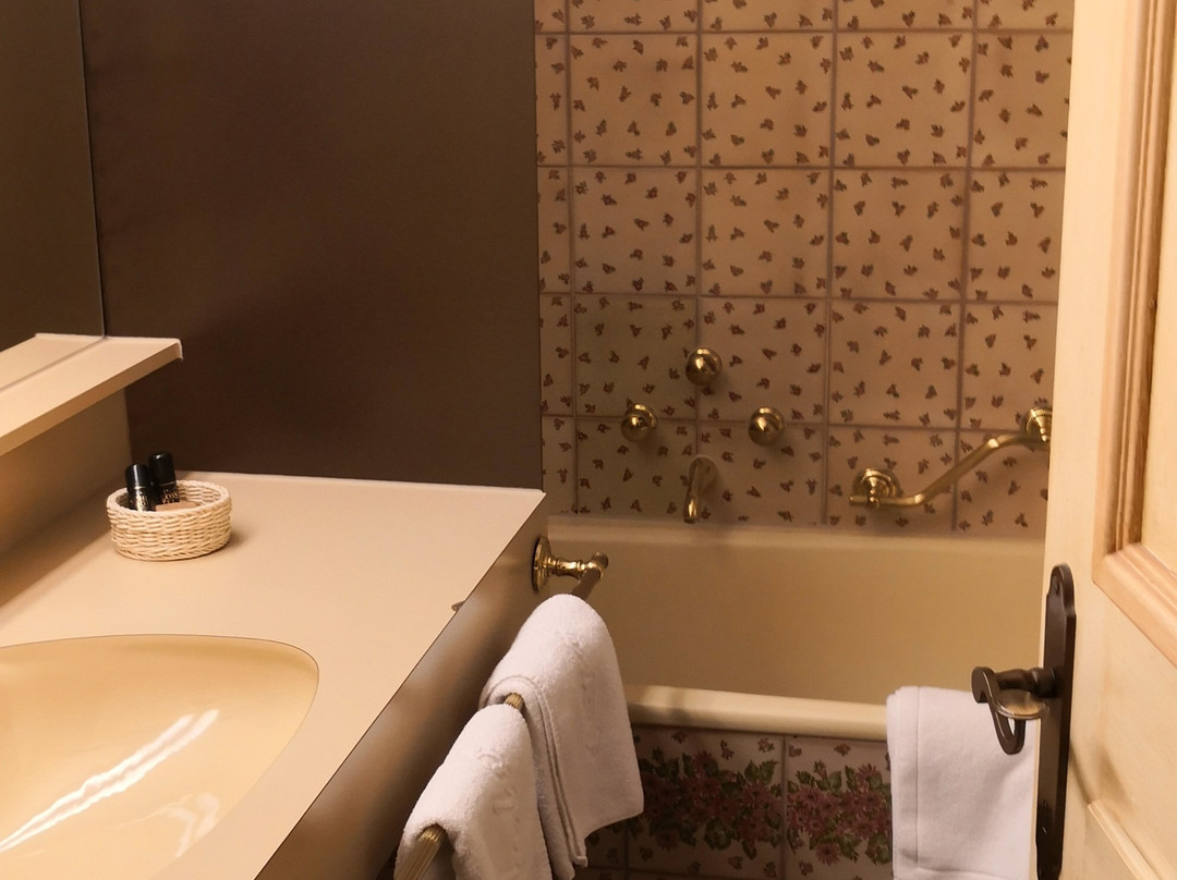 Schlosshotel Dörflinger主图