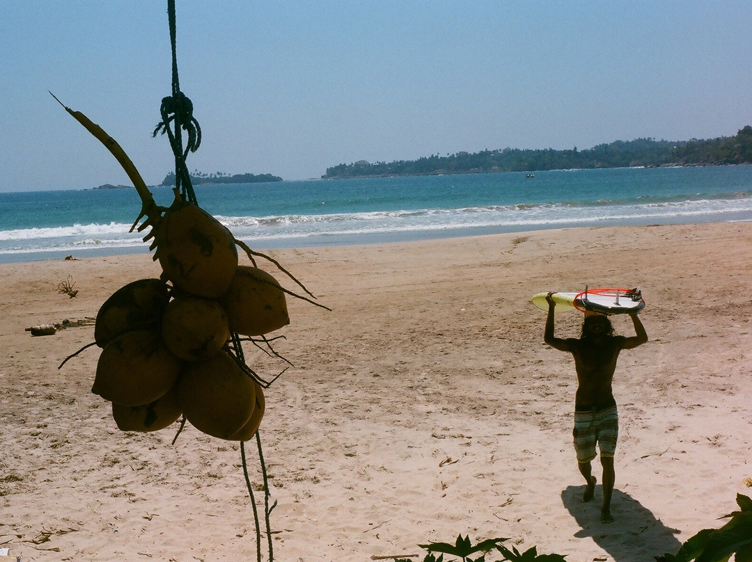 Harmuni's Surf School景点图片