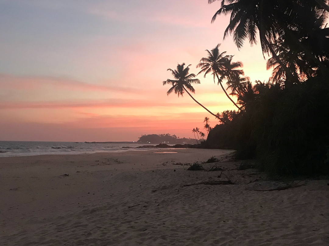 Kingdom Resort主图