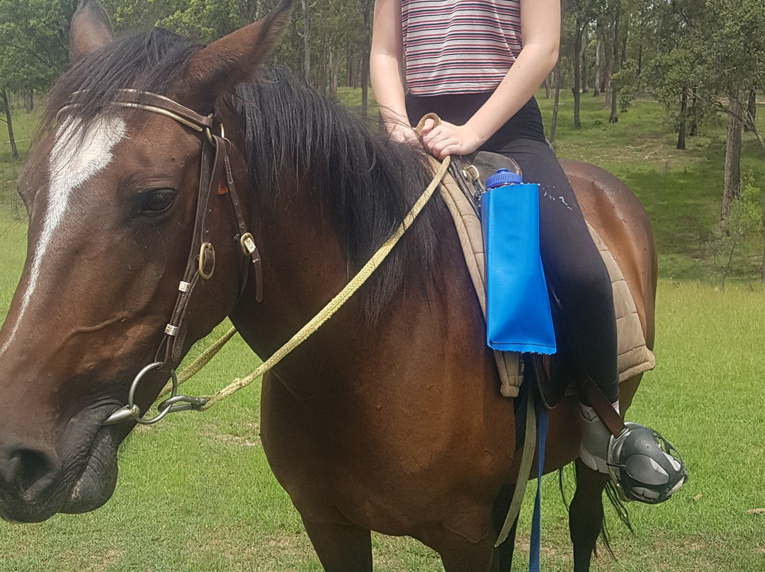 Slickers Horse Riding景点图片