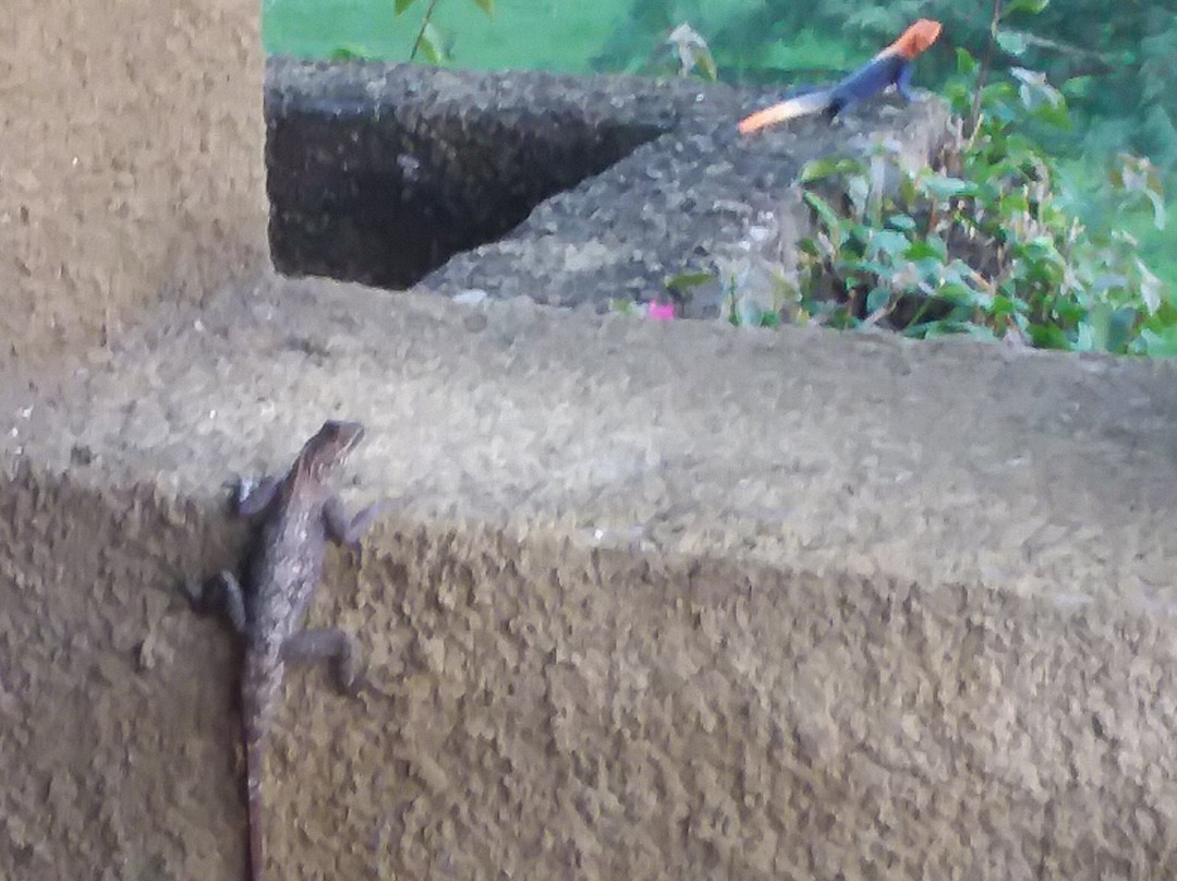 Fort Murchison Lodge主图