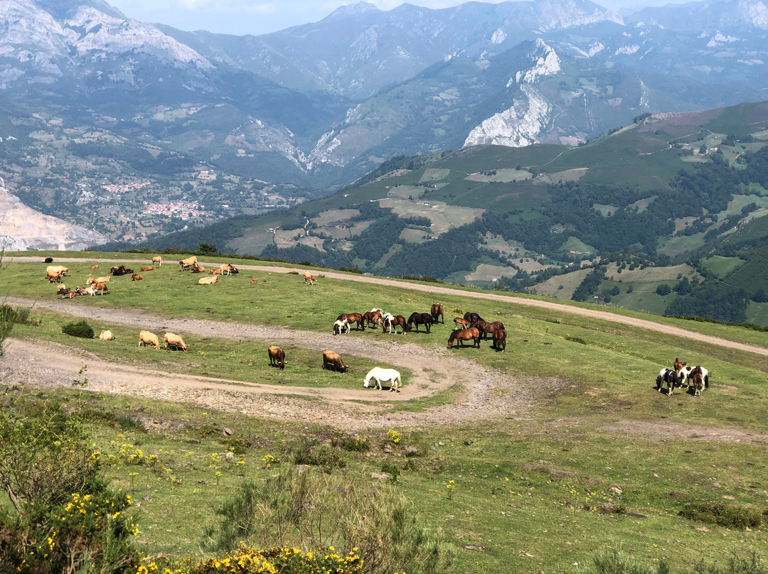 Mirador Coto Bello景点图片