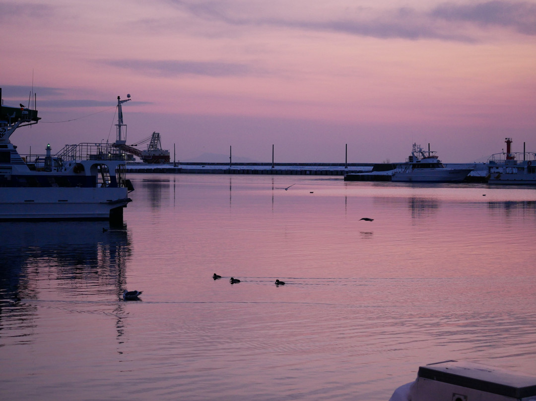 Rausu Seaport景点图片