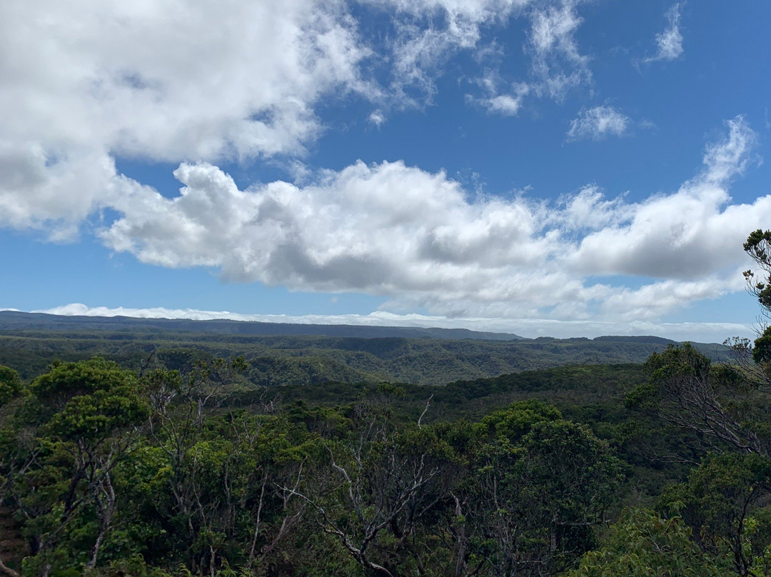 Pihea Trail-科卡哈必去景点