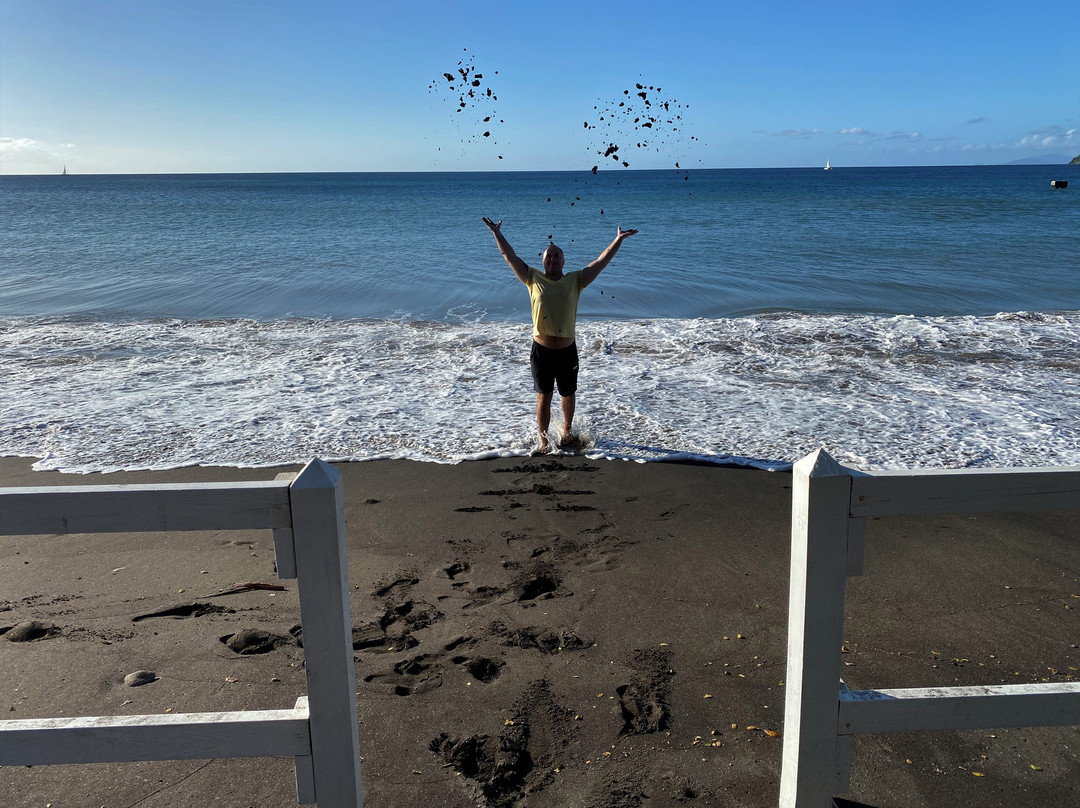 皮卡德海滩别墅酒店主图