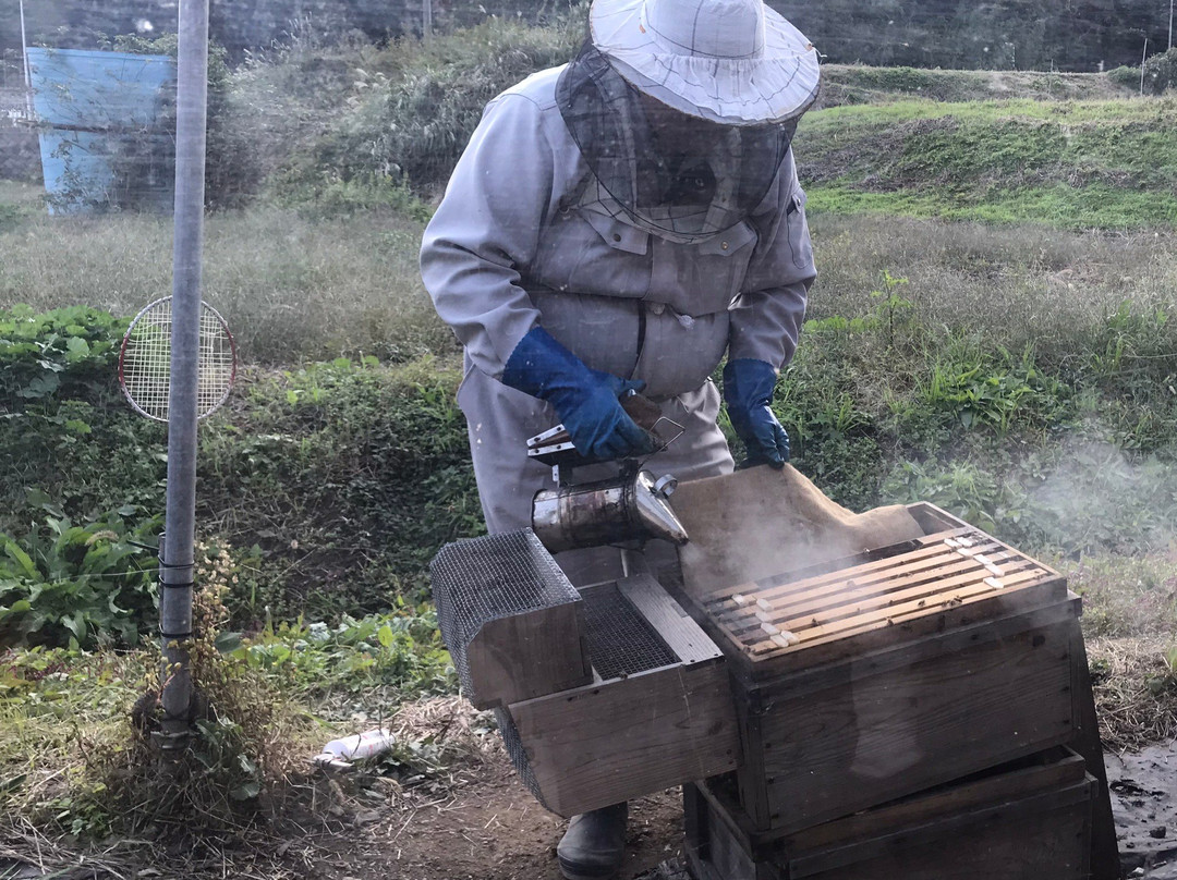 Hachimitsu Kobo-君津市必去景点