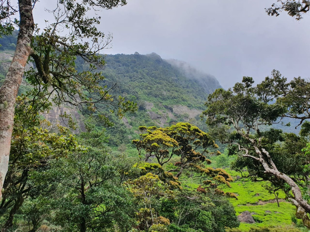 Mandaram Eco Resort主图