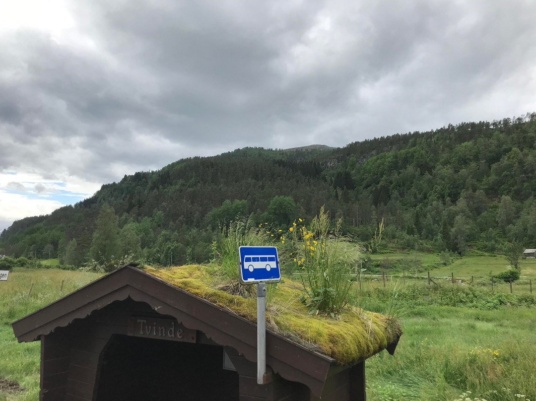 Stalheimskleiva景点图片