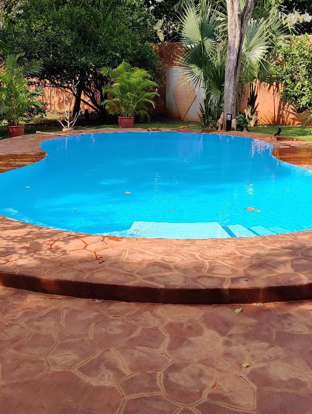 Coyote Mistico Bed & Breakfast主图